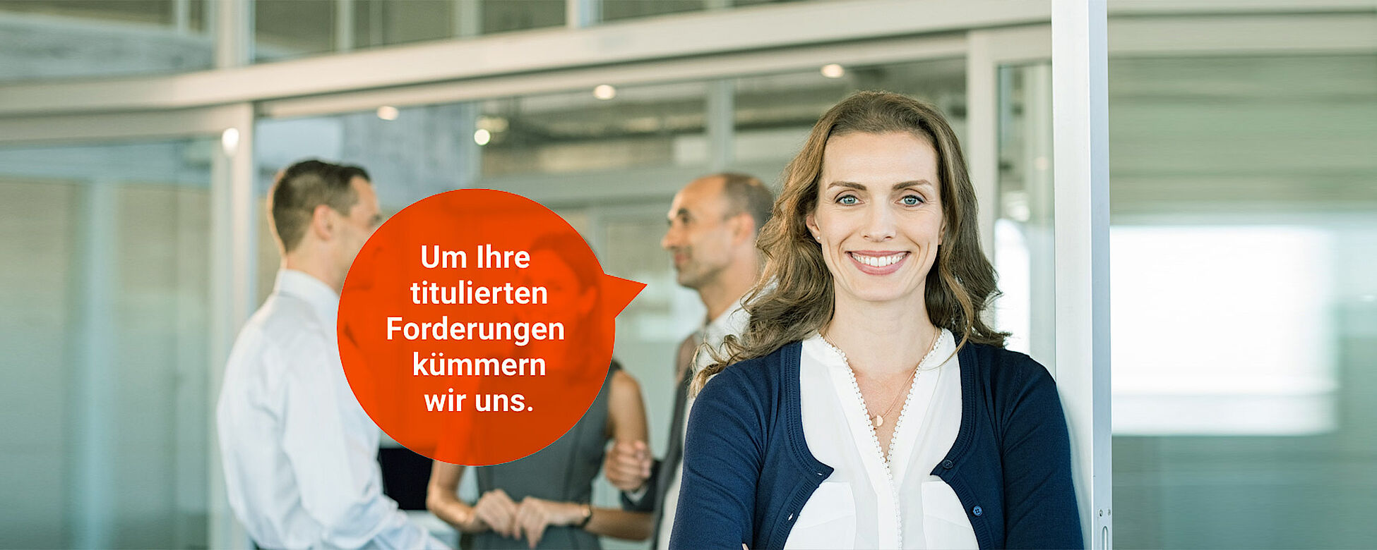 Inkasso für Vollstreckungsbescheide, Urteile und Kostenfestsetzungsbeschlüsse